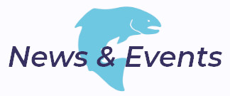 News & Events